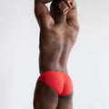 Classic Bikini Brief